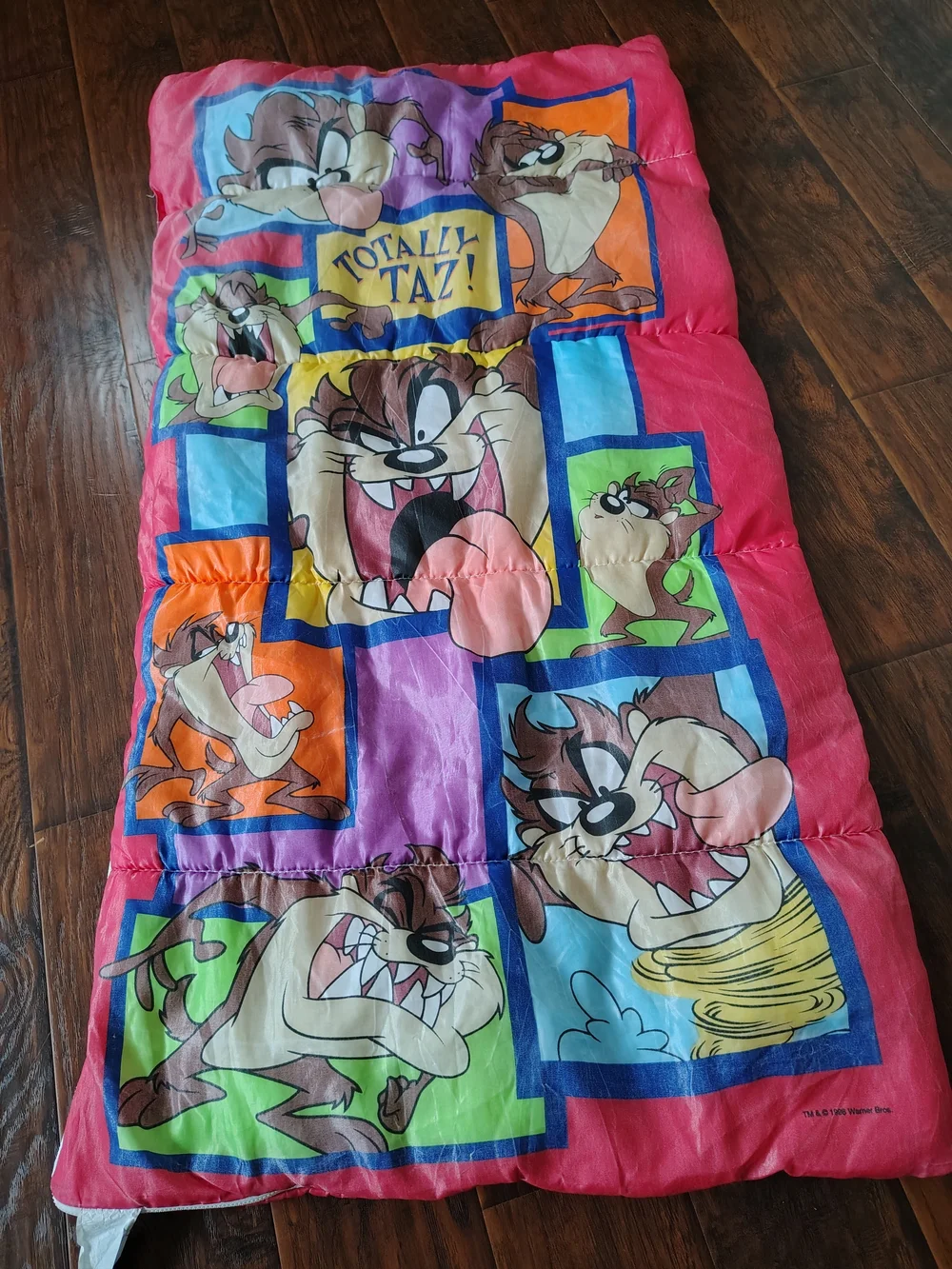 Vintage 90s Warner Brothers Totally Taz sleeping bag